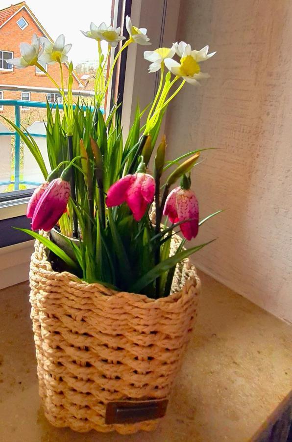 Huus An't Diek Apartment Schillig